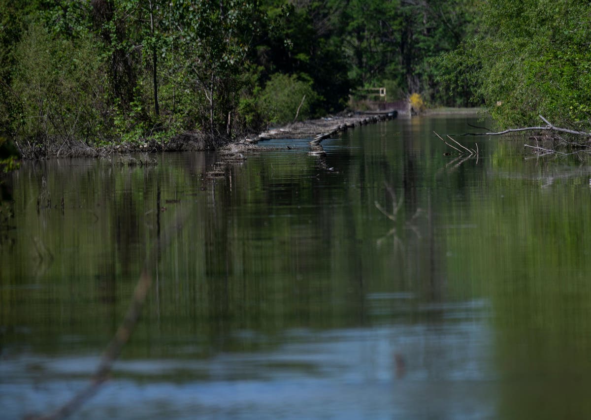 Woman pours water on former Alabama rep's head in protest at hearing over EPA toxic coal ash storage plan - Vimarsana News