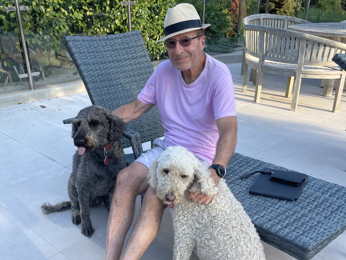 Thriller writer Peter James exposes puppy-smuggling gangs risking bringing rabies to UK - Vimarsana News