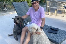 ‘Rabies in UK is only a matter of time’: Crime writer Peter James exposes the gangs behind puppy misery