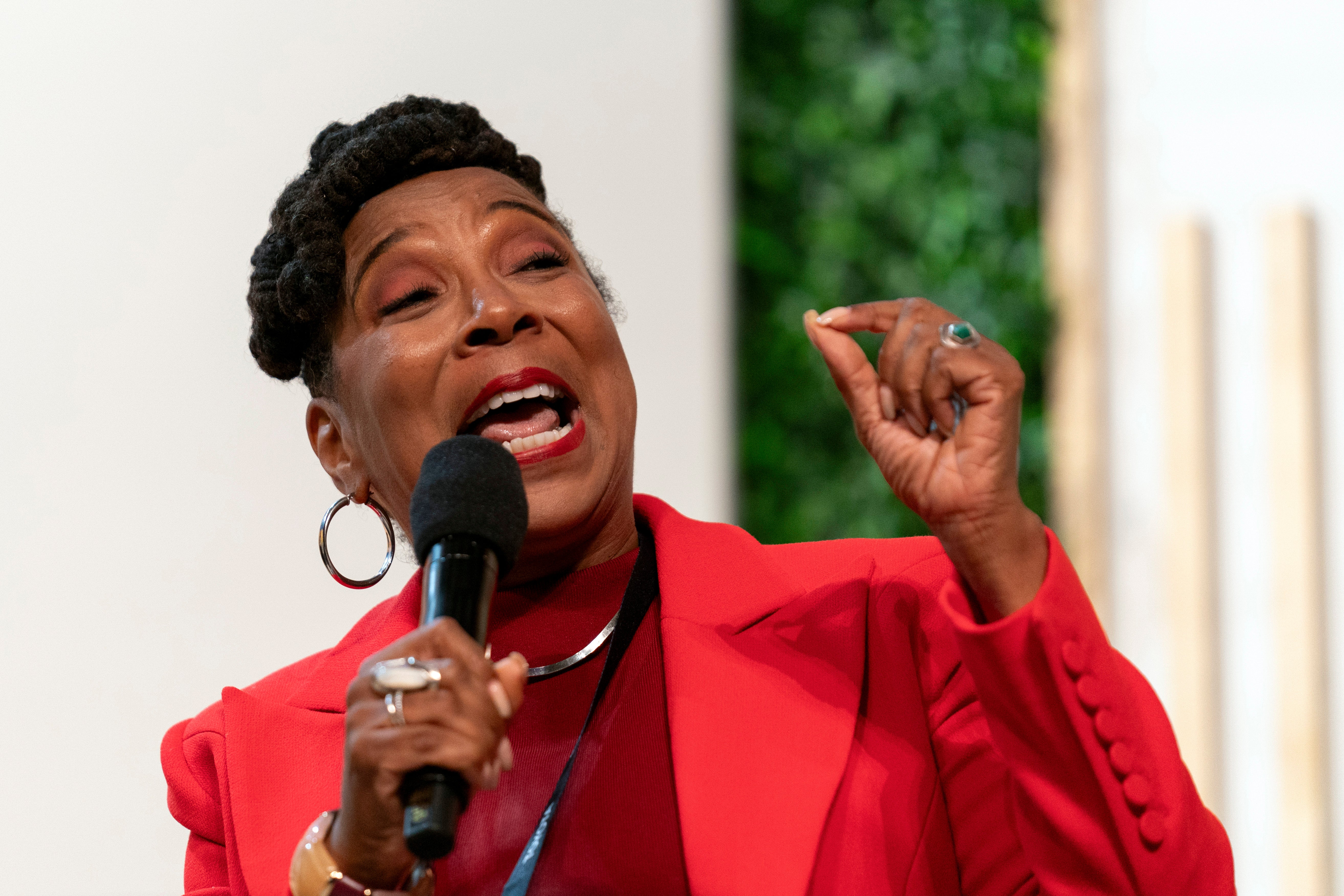 Black Caucus Democracy Threats