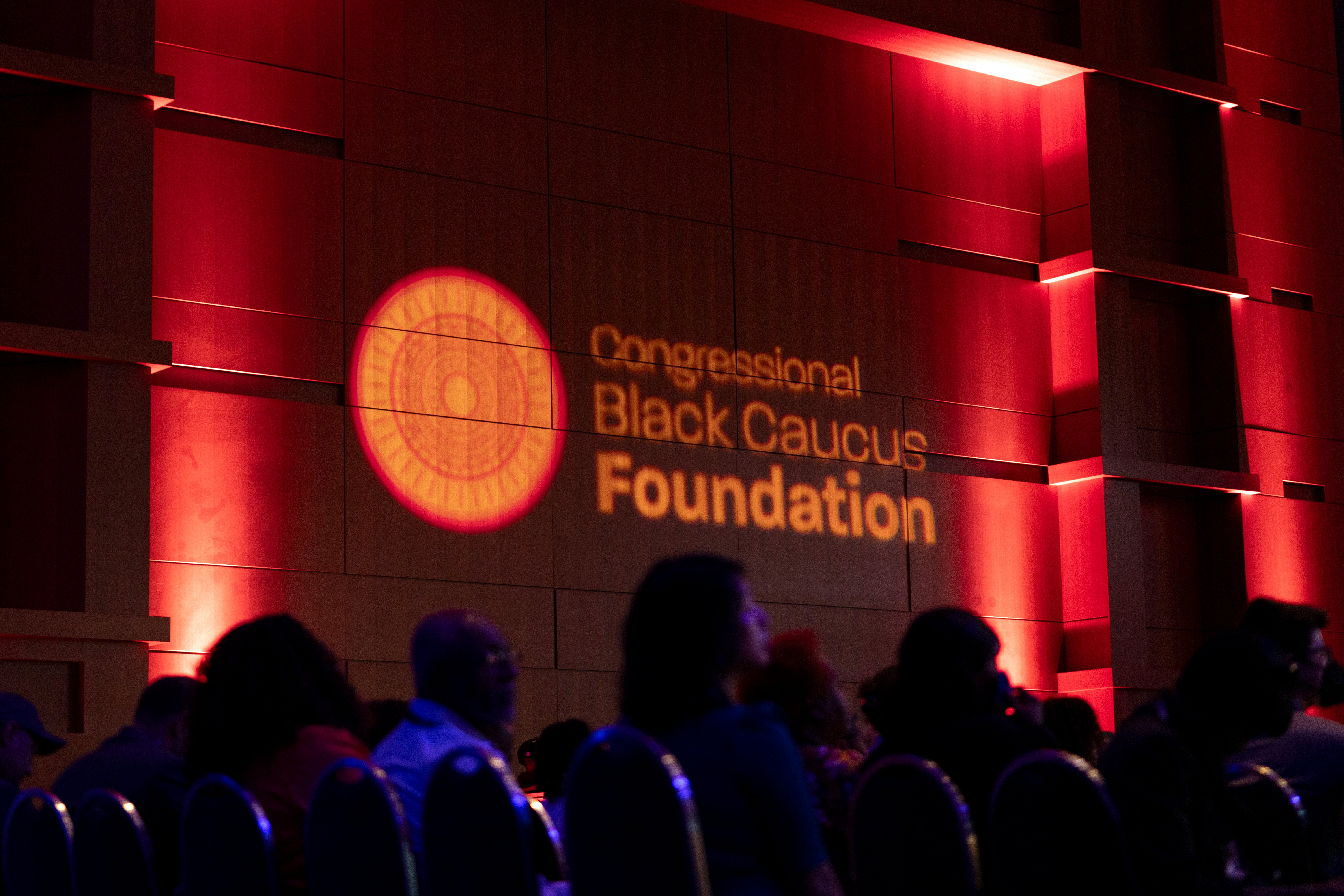 Black Caucus Democracy Threats