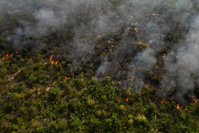Brazil Forest Fire