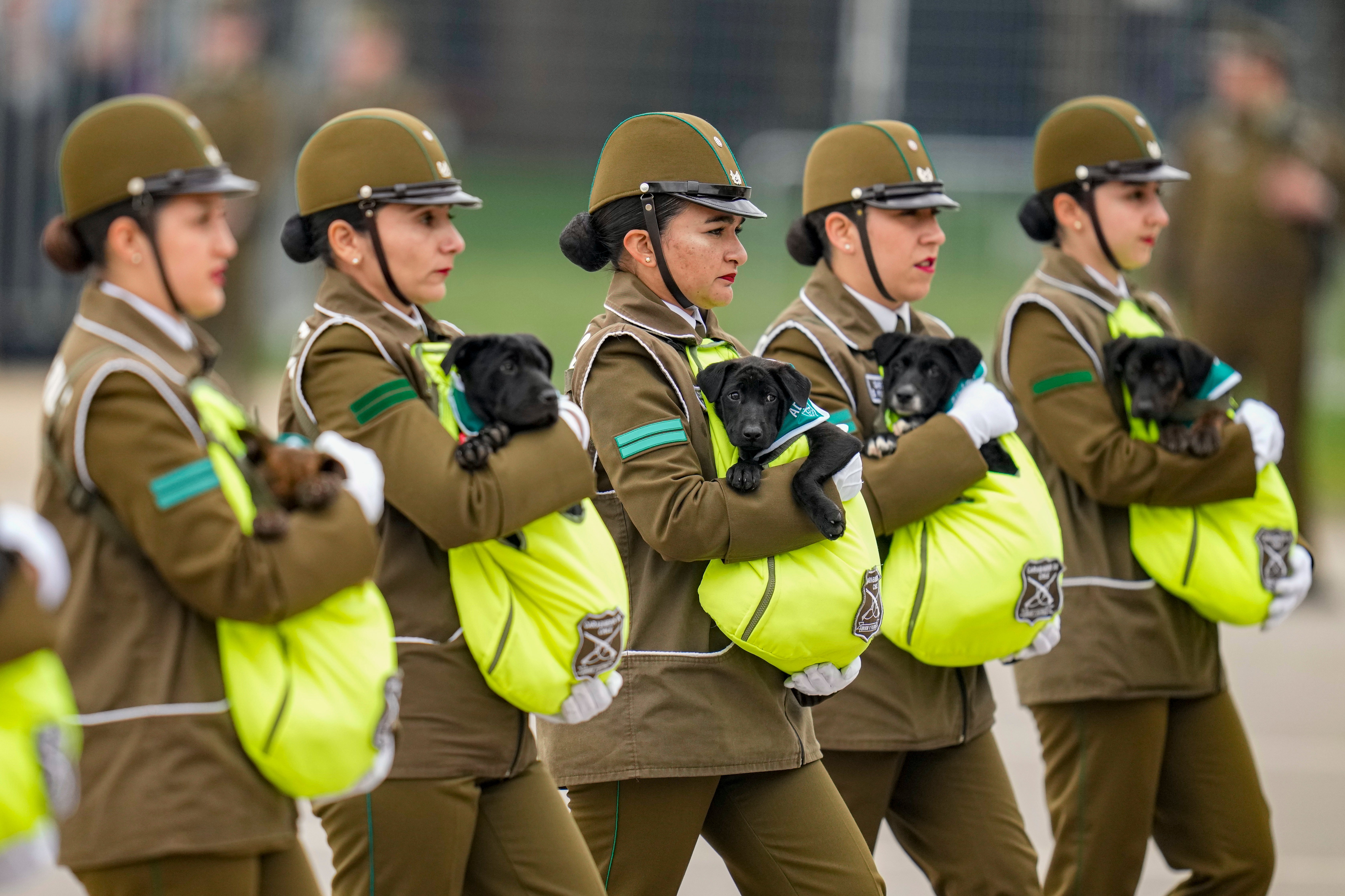REP-GEN LATINOAMÉRICA EN IMÁGENES-FOTOS