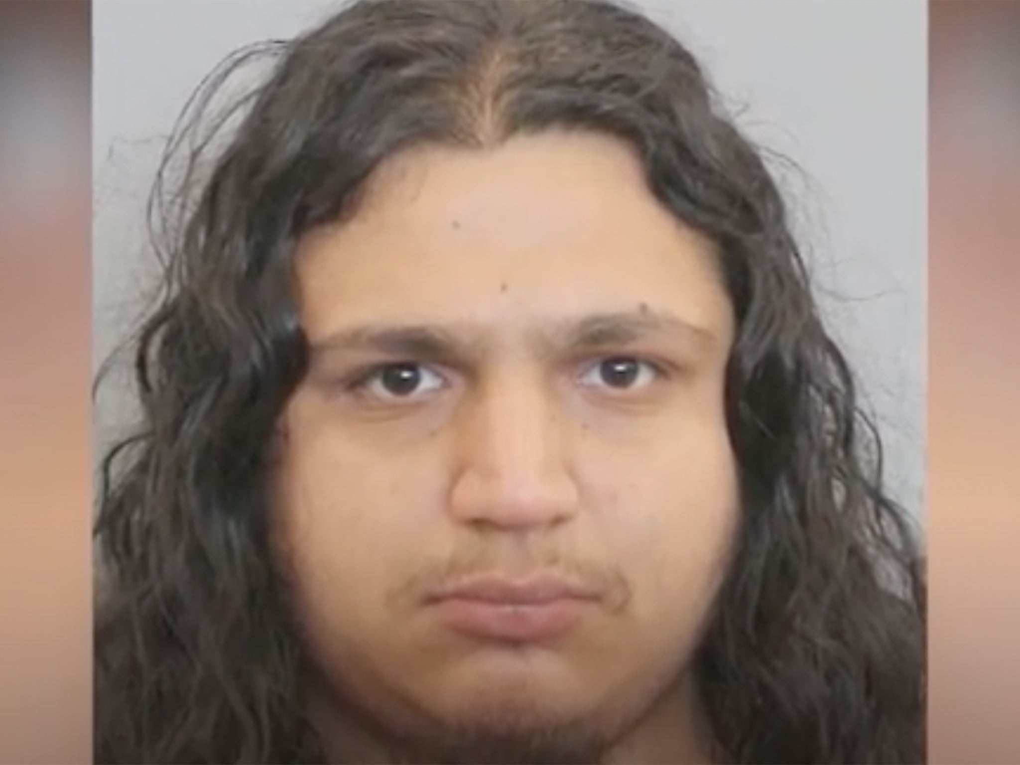 <p>Luis Sanchez, 25, pictured in his mugshot following his arrest in May 2023 </p>