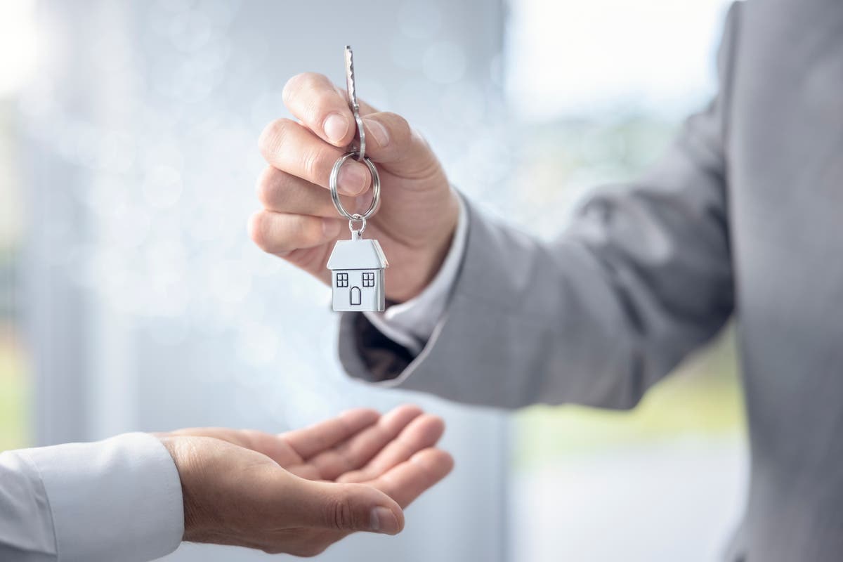 Renters want to buy their dream home to 'feel like a grown up,' poll finds - Vimarsana News