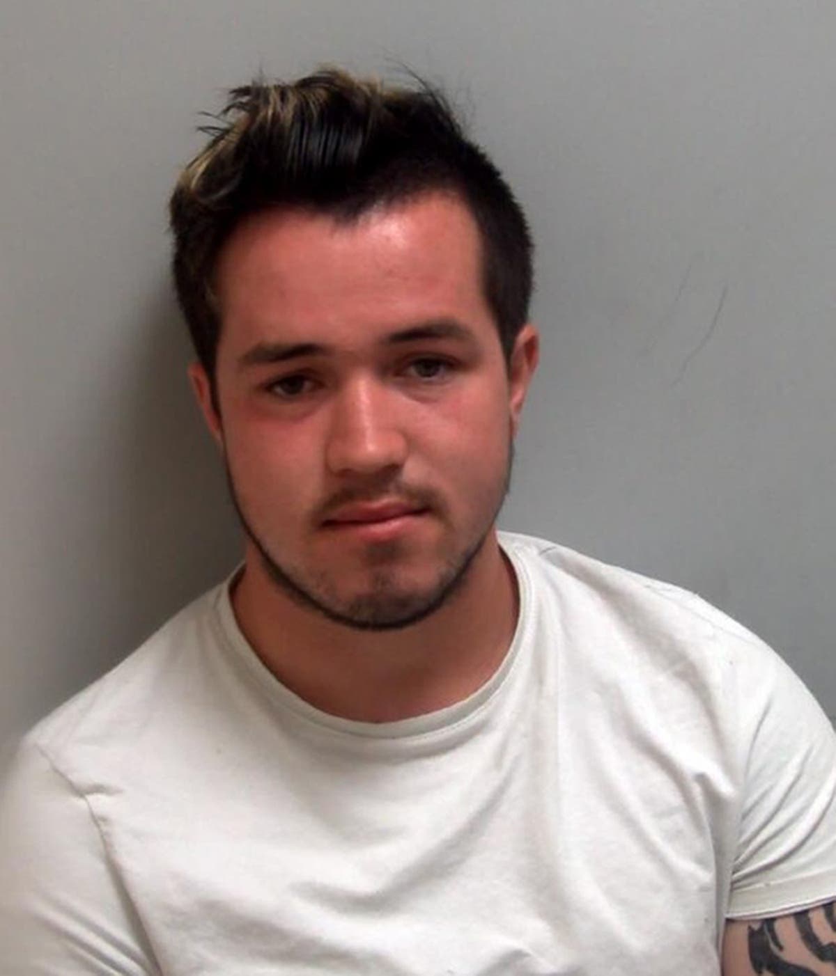 Man posed as teen online to get boys to send him indecent pictures and then blackmailed them