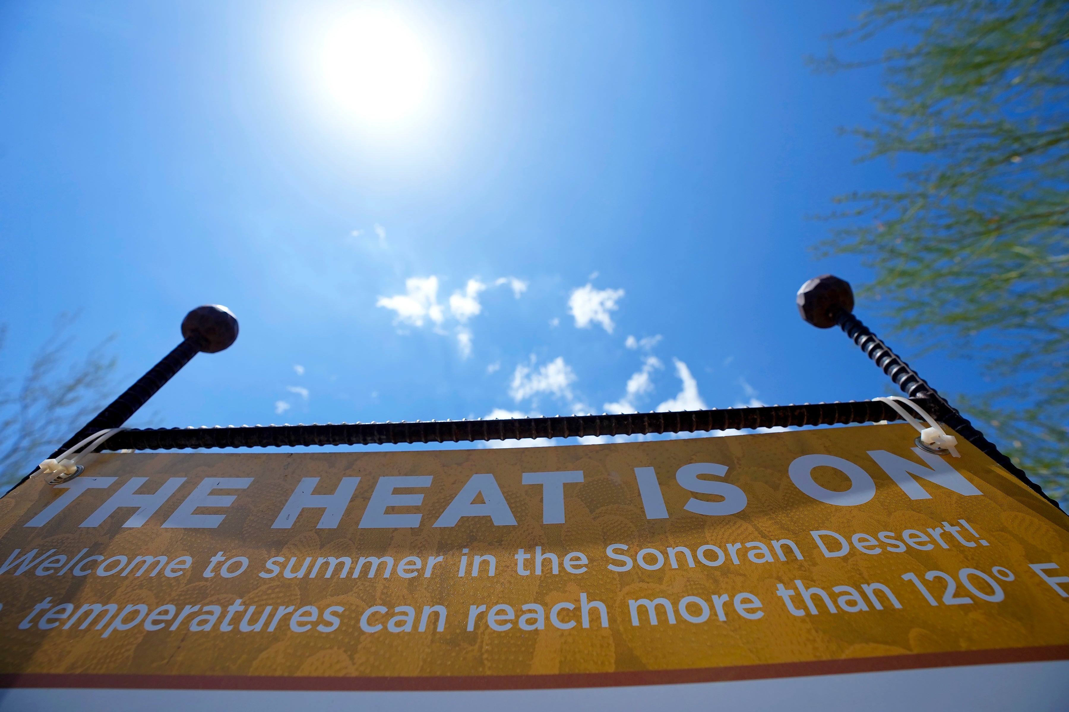 Arizona Heat Deaths