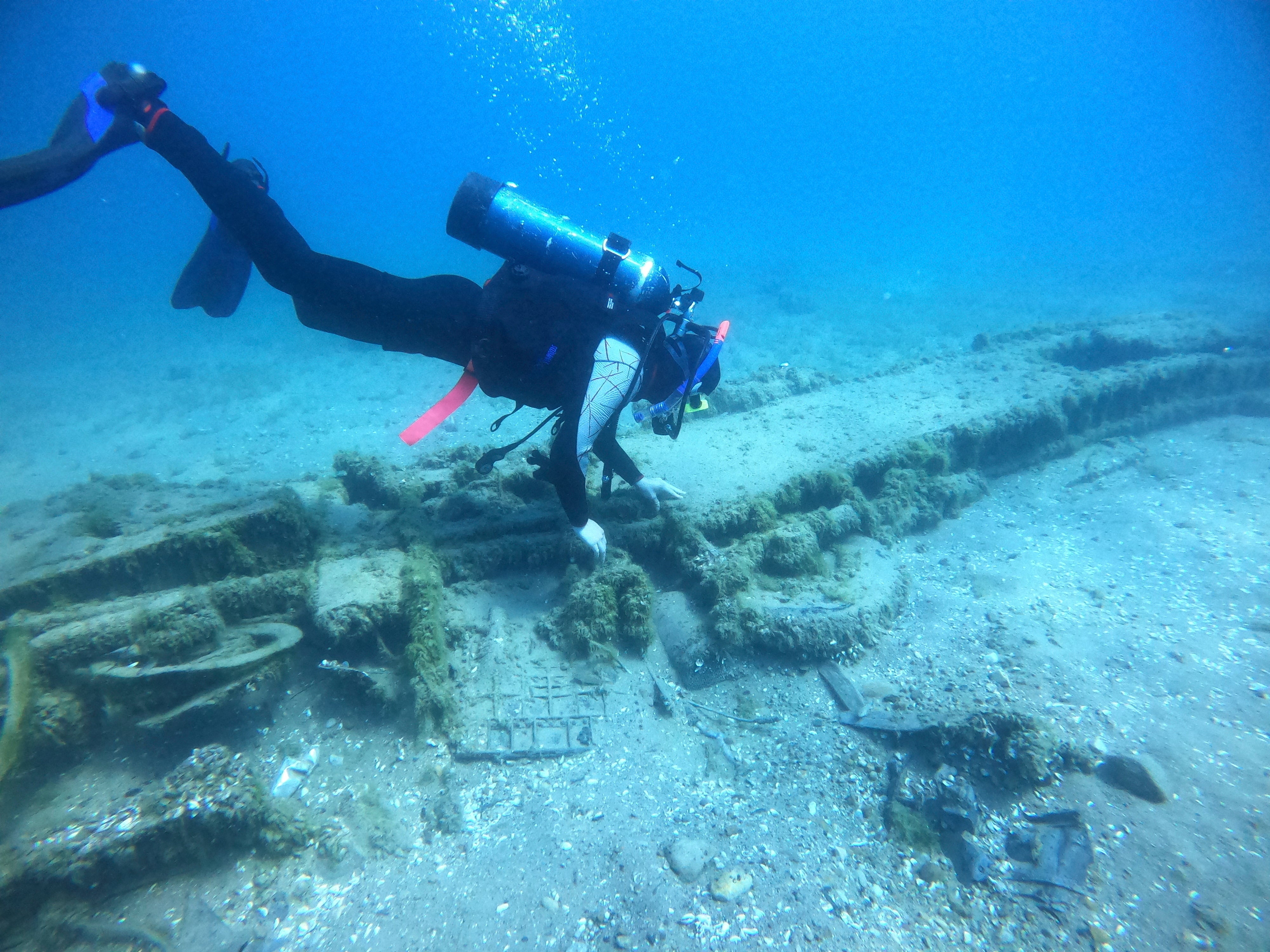 Mussels Decaying Shipwrecks