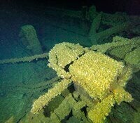 Mussels Decaying Shipwrecks
