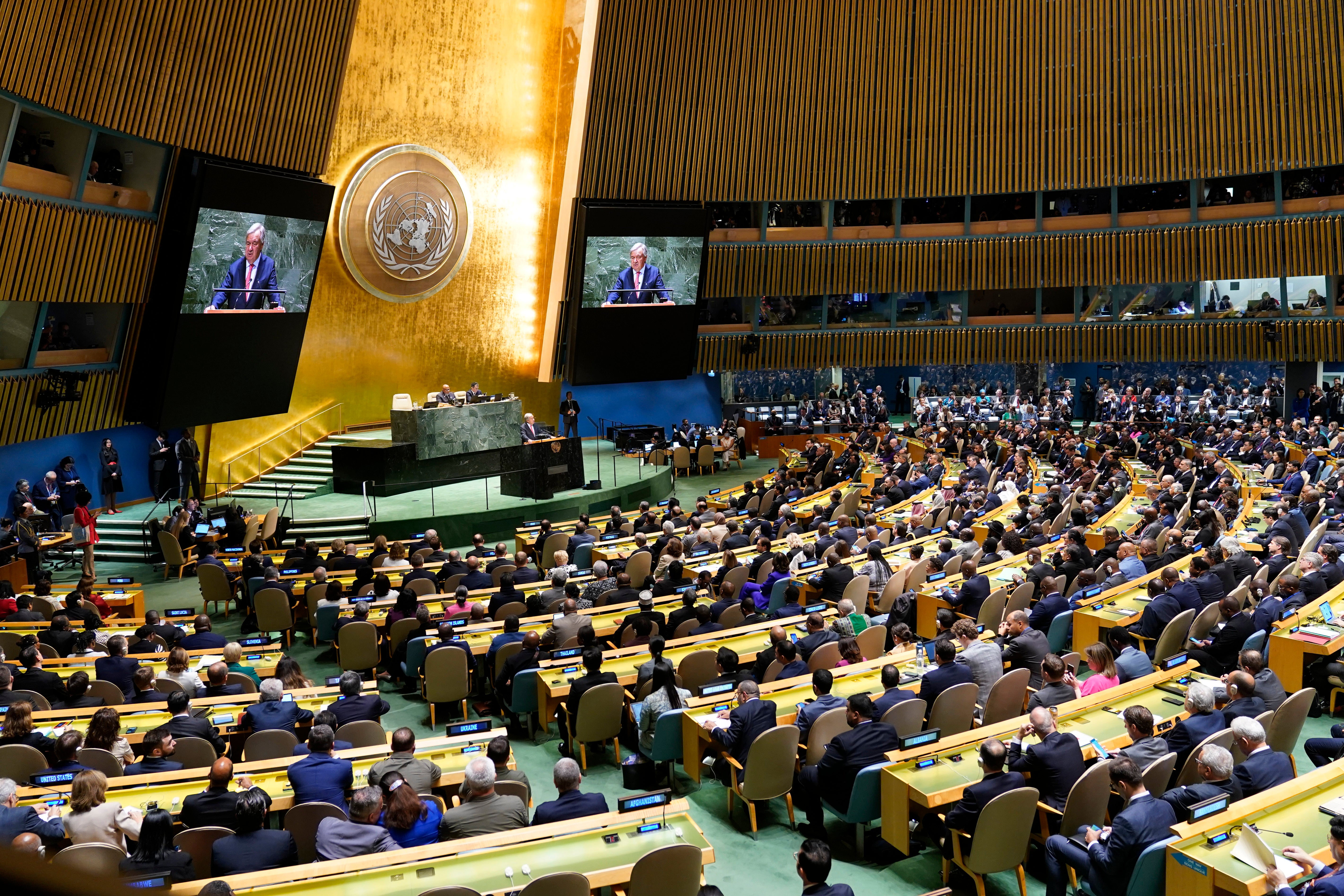 UN General Assembly