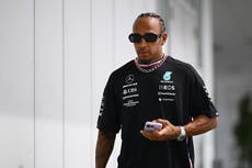 ‘It’s real’: Lewis Hamilton in state of shock after Japanese GP qualifying