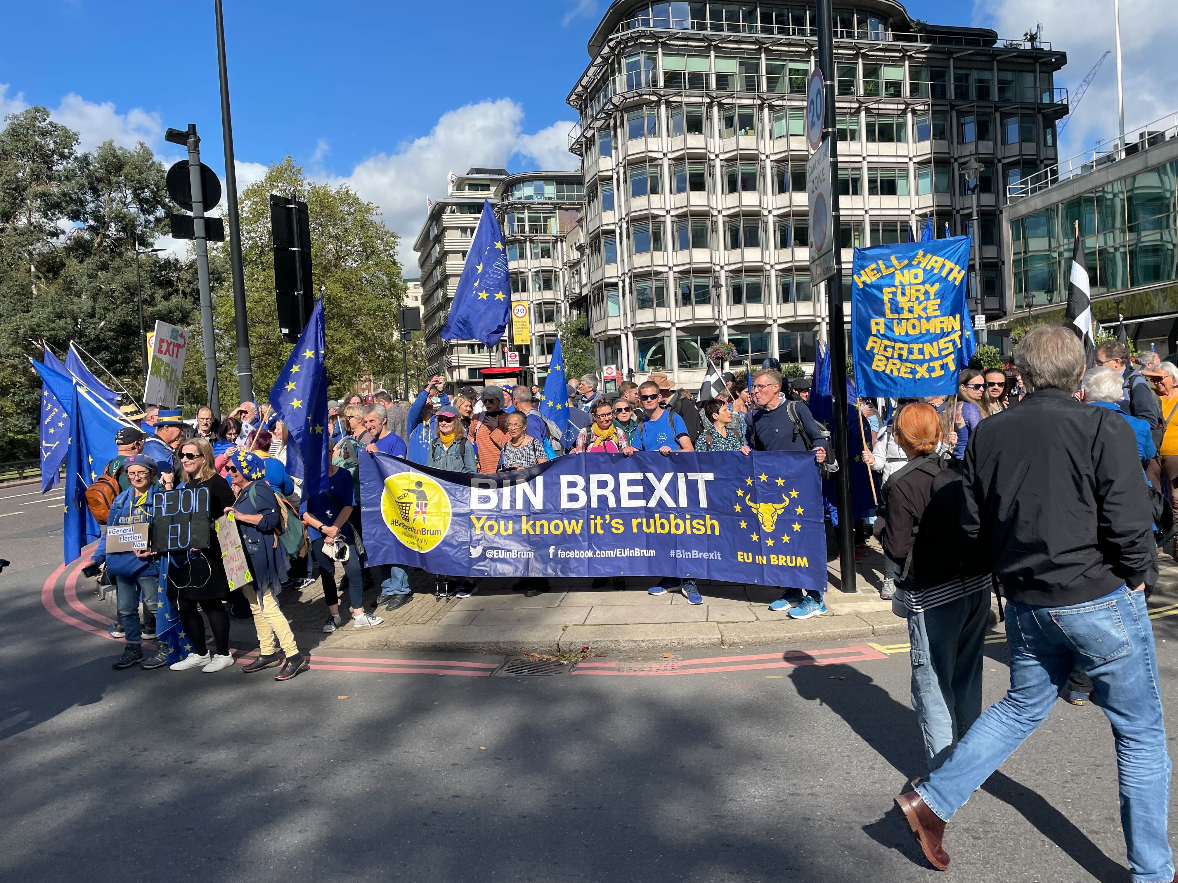 <p>Hundreds of people joined the second National Rejoin March in London on September 23</p>