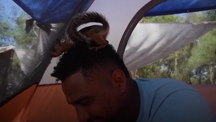 <p>Man who fled Venezuela with pet squirrel faces having to part with animal after making it to US border.</p>