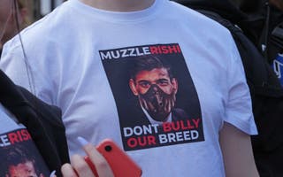 ‘XL bully’ owner wanted by police after man attacked in London park ...