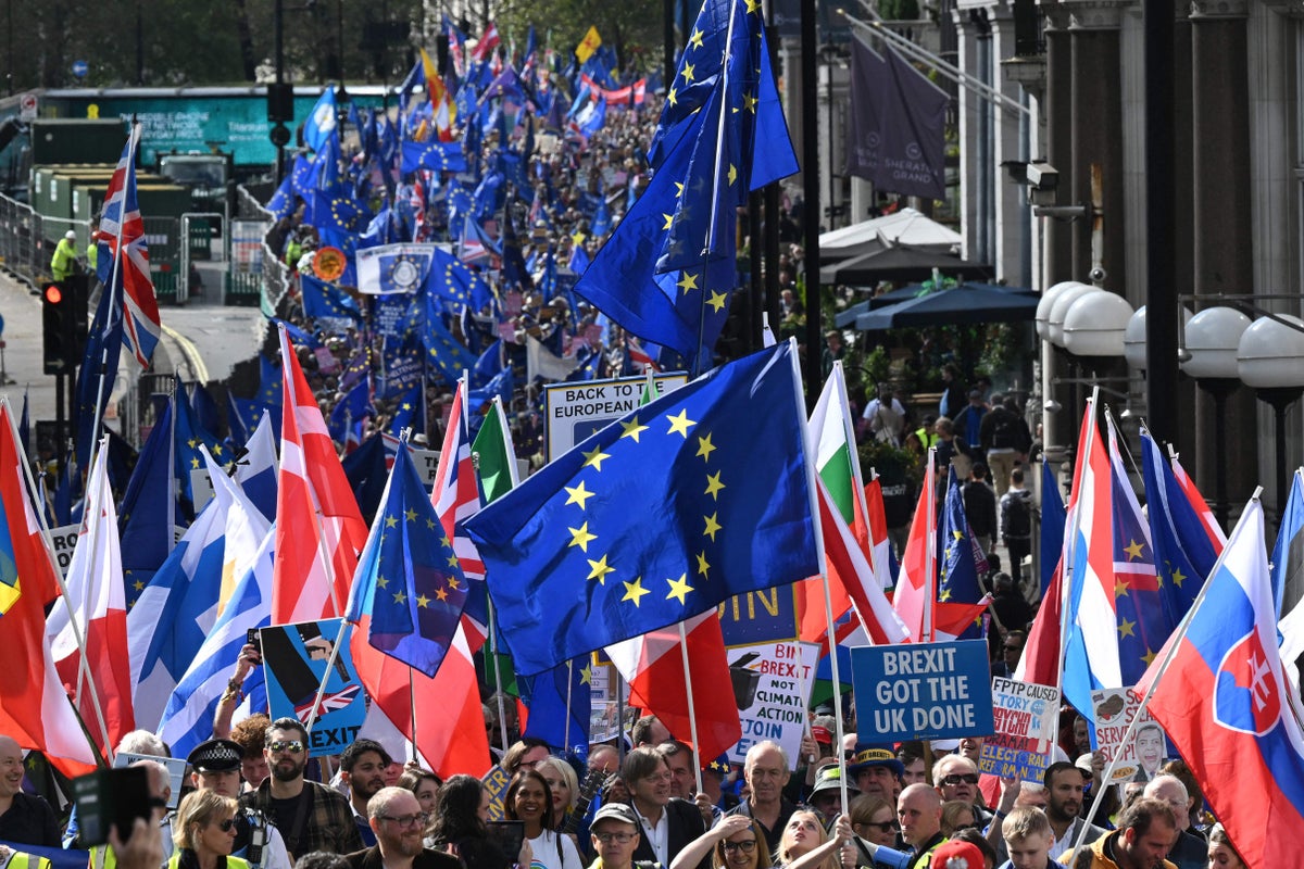 Brexit, berets and interpretive dance – how thousands marched to demand UK rejoin the EU