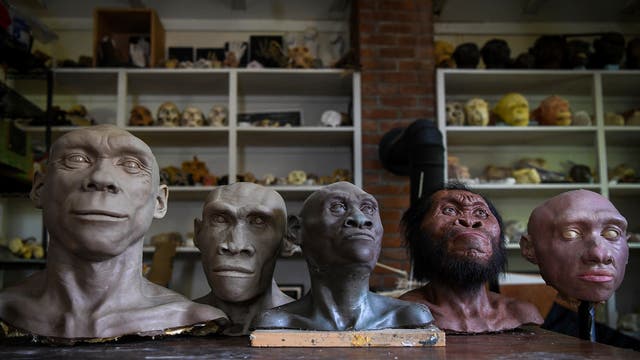 16 Humans Science paints a new picture of the ancient past, when we mixed and ...