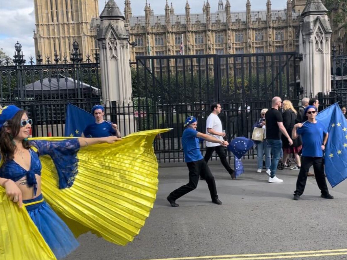 Watch the eccentric Remainer dance troupe performance that even earned praise from Farage
