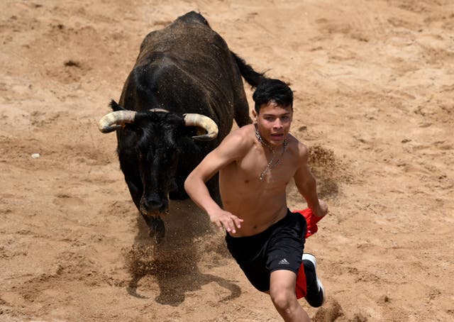<p>File image:  The festival, where bulls are released into the streets and runners dash ahead of them, remains a controversial topic in Spain</p>