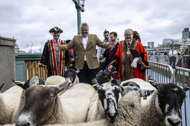 Chef Richard Corrigan (centre), joined by Sheriff Andrew Marsden (right) and Master Woolmen Vincent Keaveny, as he drives sheep over Southwark Bridge (Rupert Frere/Worshipful Company of Woolmen/PA)
