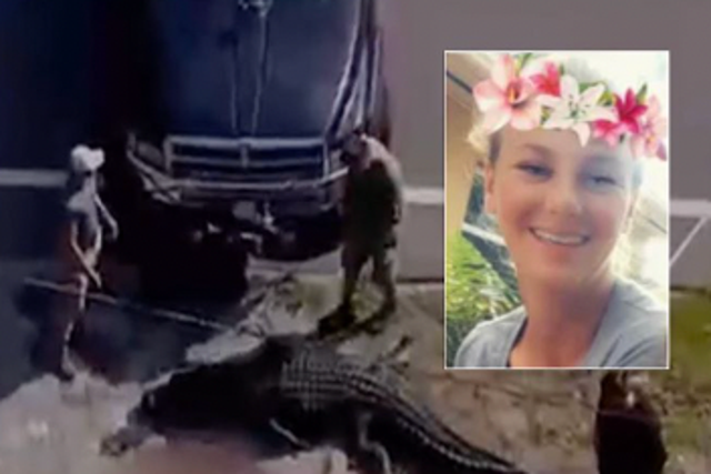 <p>Sabrina Peckham (inset) and footage of the alligator attack </p>