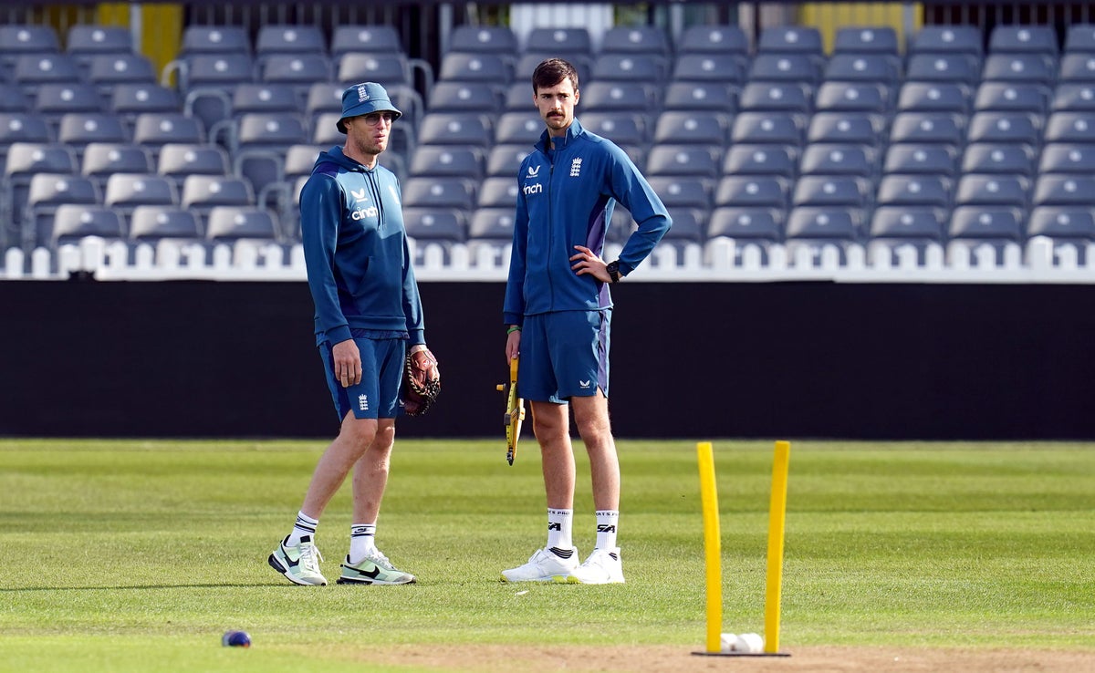 Freddie Flintoff has 'sprinkled gold dust' on England squadcoaching job  should be full-time, claims No2 Trescothick