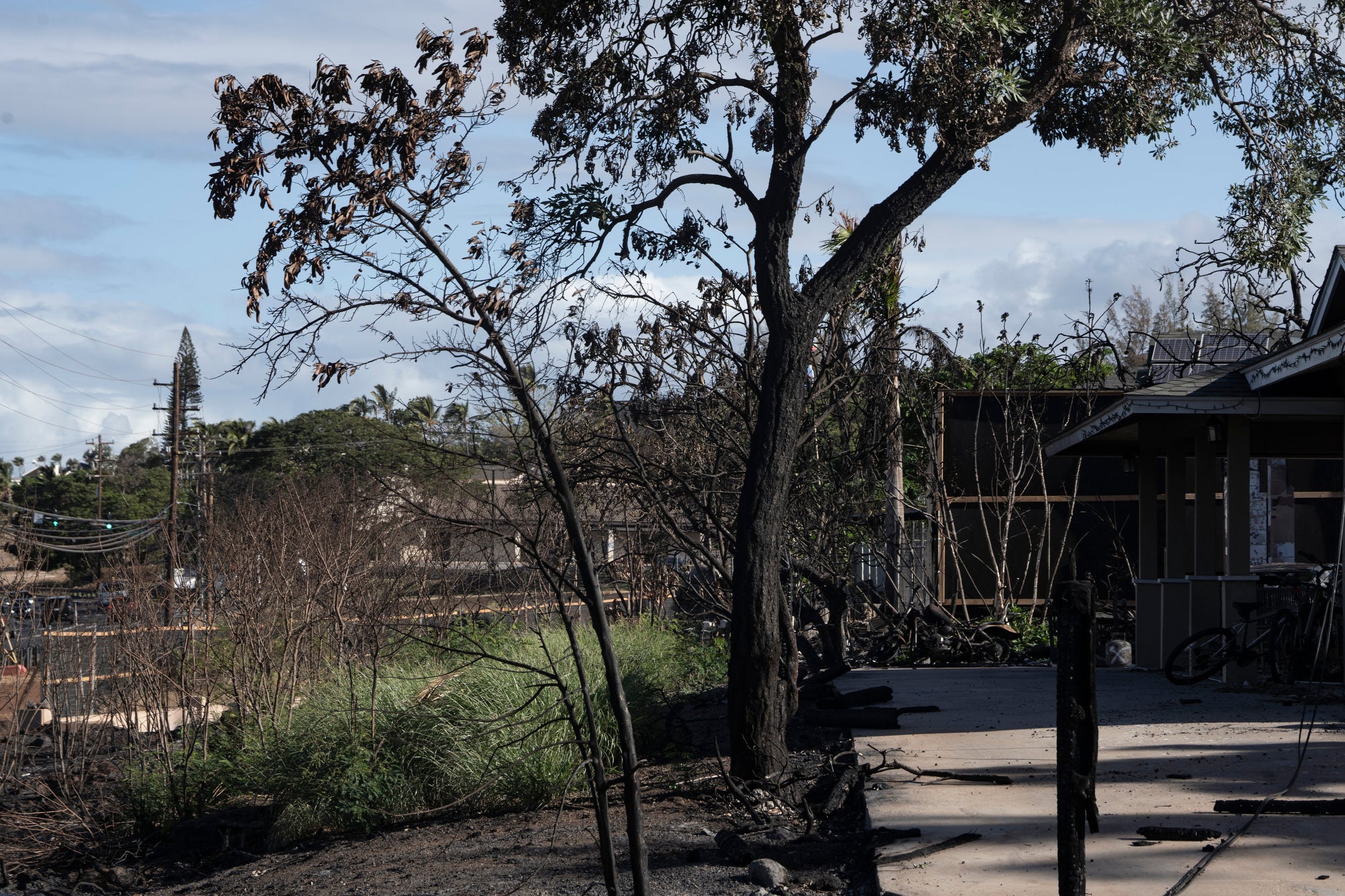 HAWAI-INCENDIOS-RESIDENTES