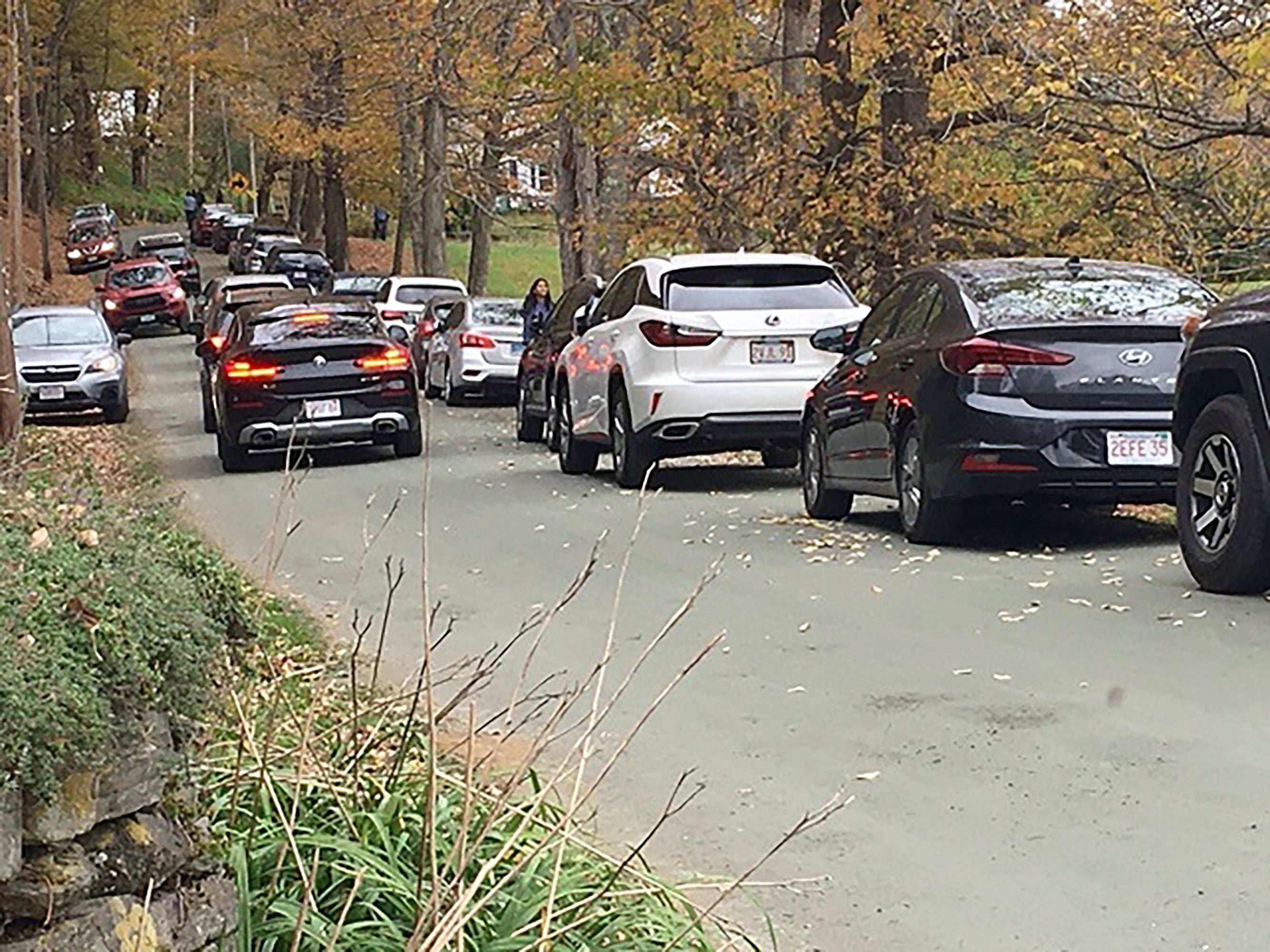 Fall Foliage Influencer Overcrowding