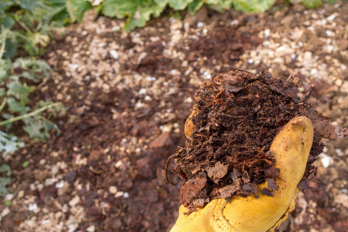 How can I boost my soil when I go peat-free? | The Independent