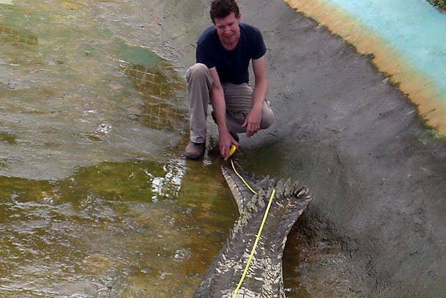 <p>File: Australian zoologist  Adam Britton measures a captive crocodile in Bunawan town in Agusan del Sur province in the Philippines southern island of Mindanao on 9 November 2011</p>