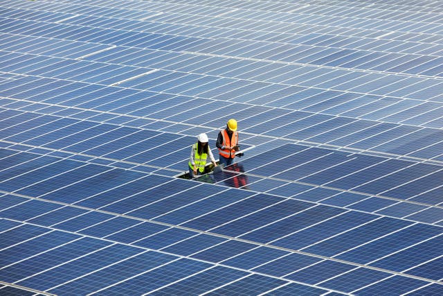 <p>Solar panels are becoming both more efficient and cheaper</p>