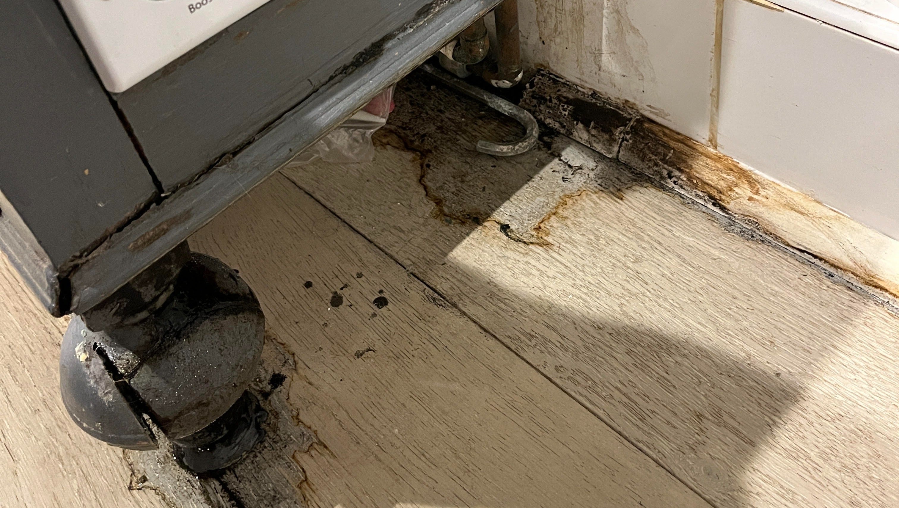 Her home is now riddled with damp and mould which she is having to pay for herself
