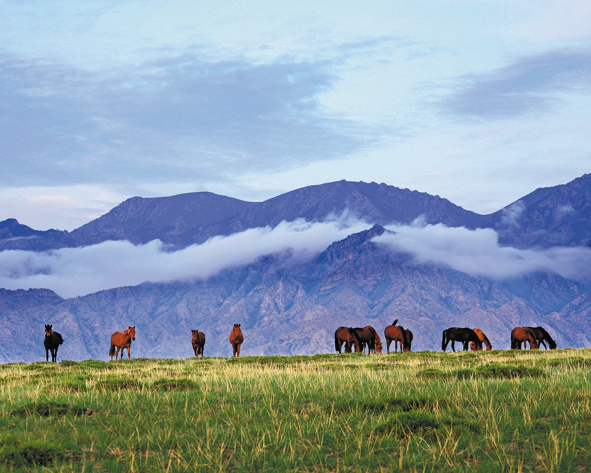Cloud planting stops deserts in their tracks - Vimarsana News