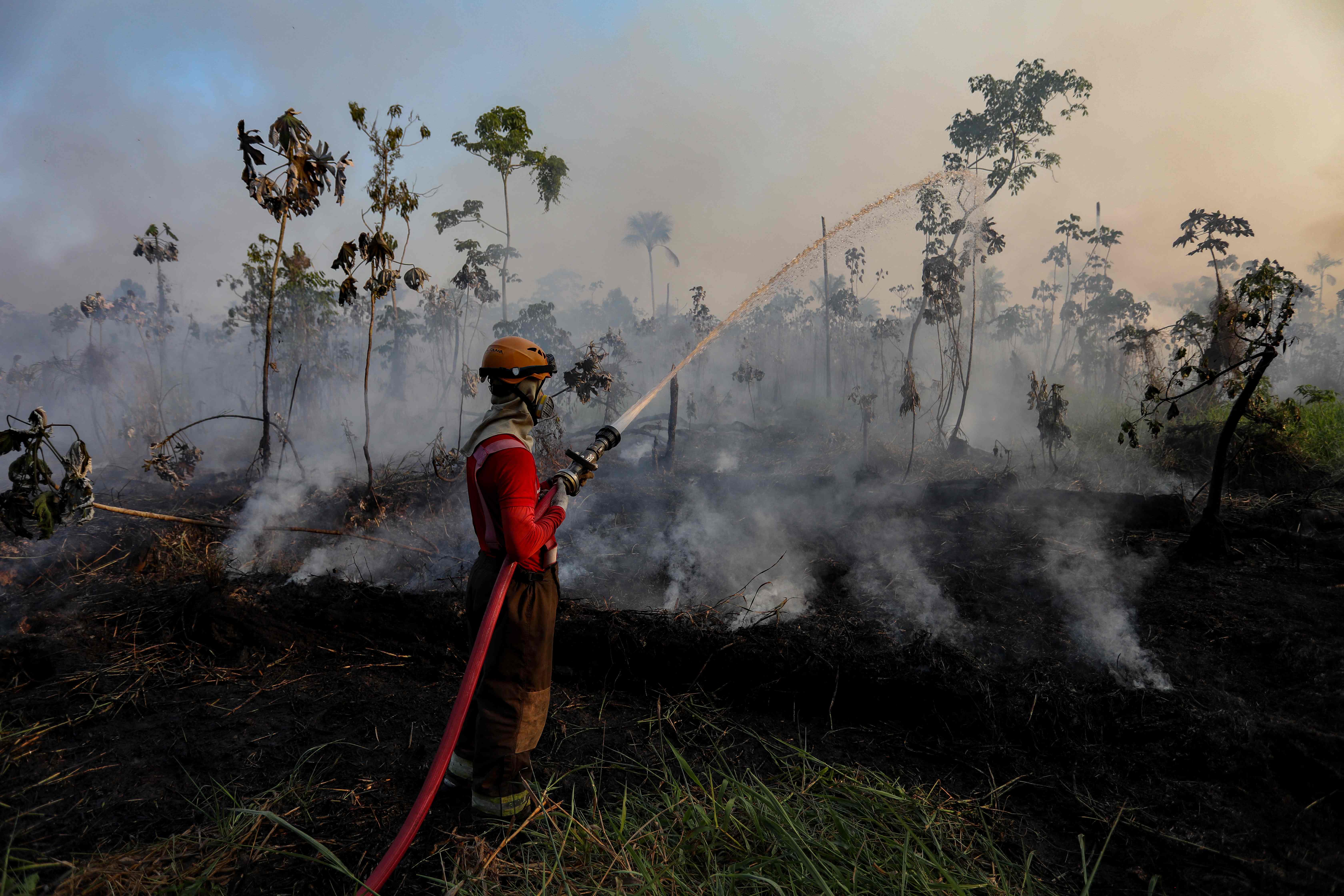 Firefighters try to put out an illegal fire in a forest area at the Cacau Pirera district in Iranduba, Amazonas state, Brazil on 25 September 2023. The Government of Amazonas declared a State of Environmental Emergency on 12 September due to the high number of fires and a strong drought in the rivers, affecting navigation and food distribution to the interior of the state