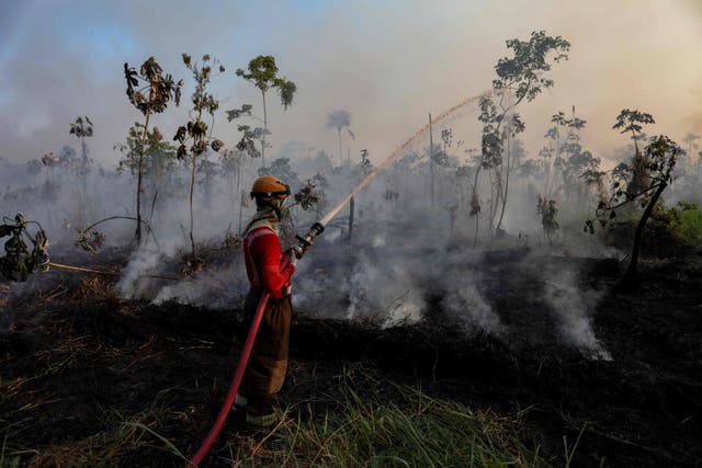 <p>Firefighters try to put out an illegal fire in a forest area at the Cacau Pirera district in Iranduba, Amazonas state, Brazil on 25 September 2023. The Government of Amazonas declared a State of Environmental Emergency on 12 September due to the high number of fires and a strong drought in the rivers, affecting navigation and food distribution to the interior of the state</p>