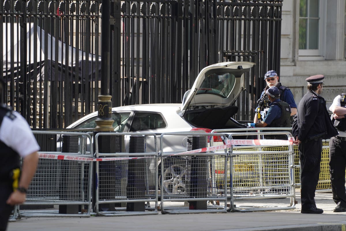 Sex offender who crashed car into Downing Street gates spared jail Sex offender who crashed car into Downing Street gates spared jail