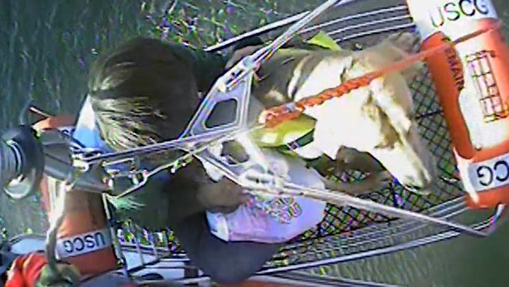 <p>Moment man and his dog are airlifted to safety after sailing boat runs aground in Samish Bay.</p>