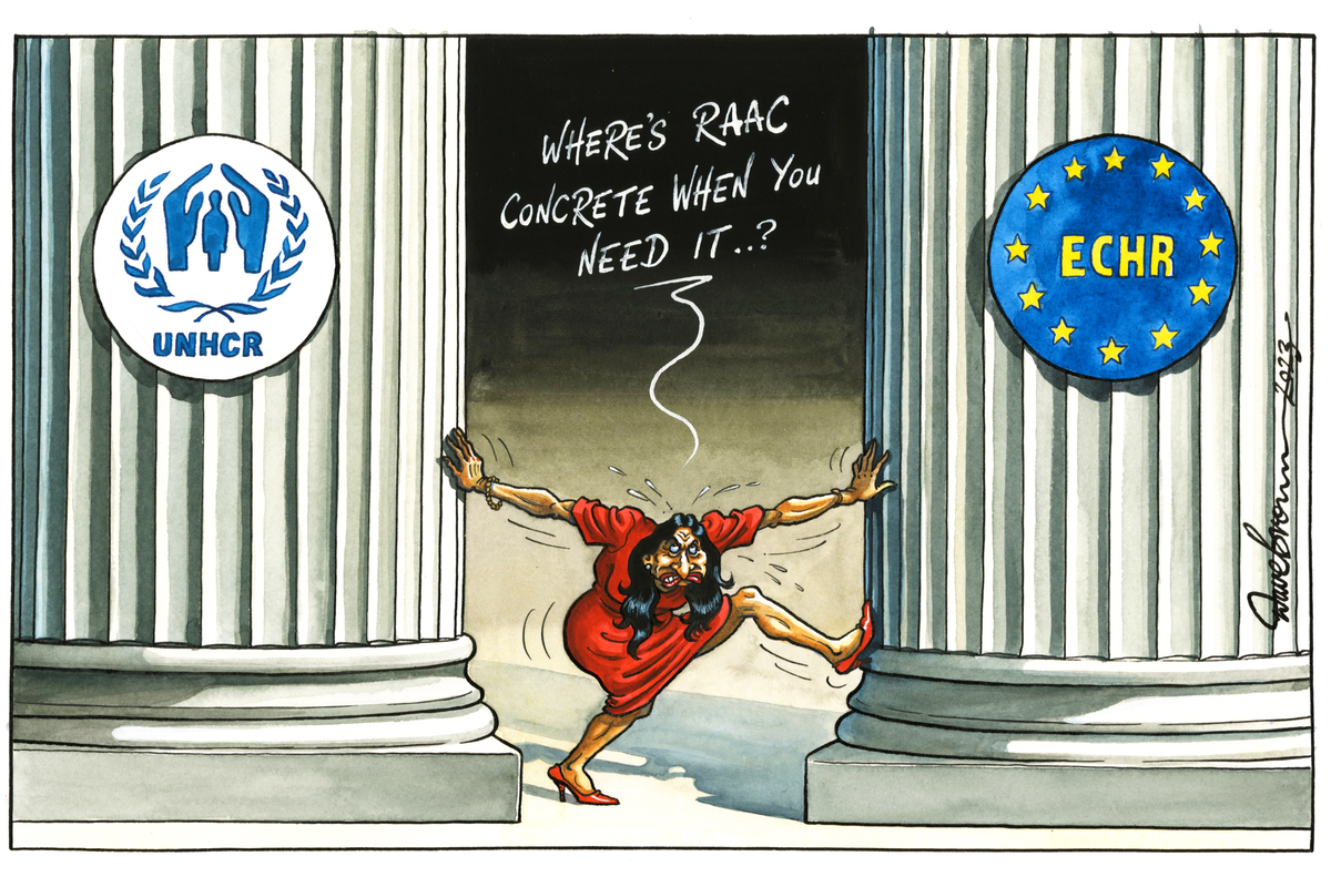 The Independent daily cartoon