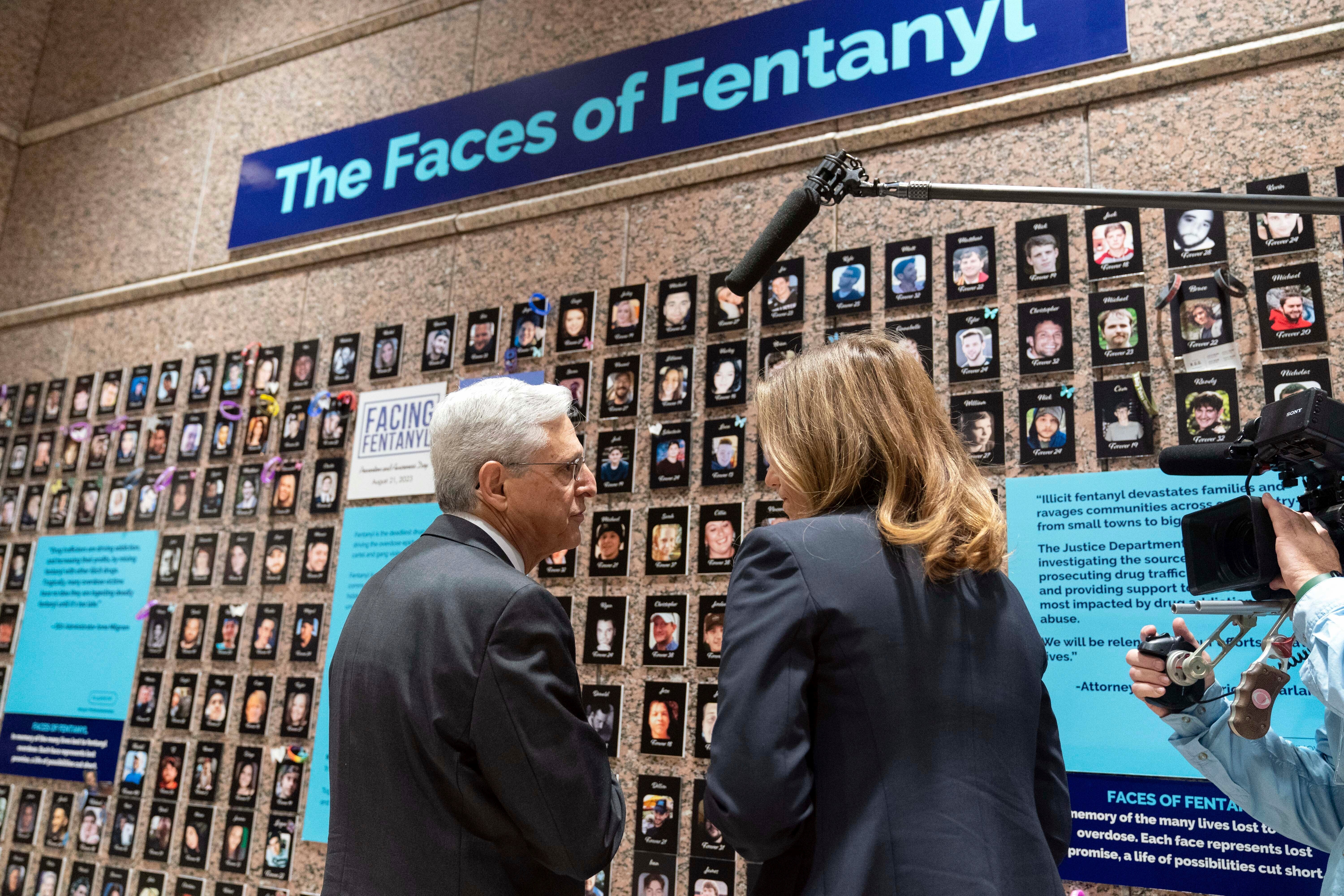 Fentanyl Families