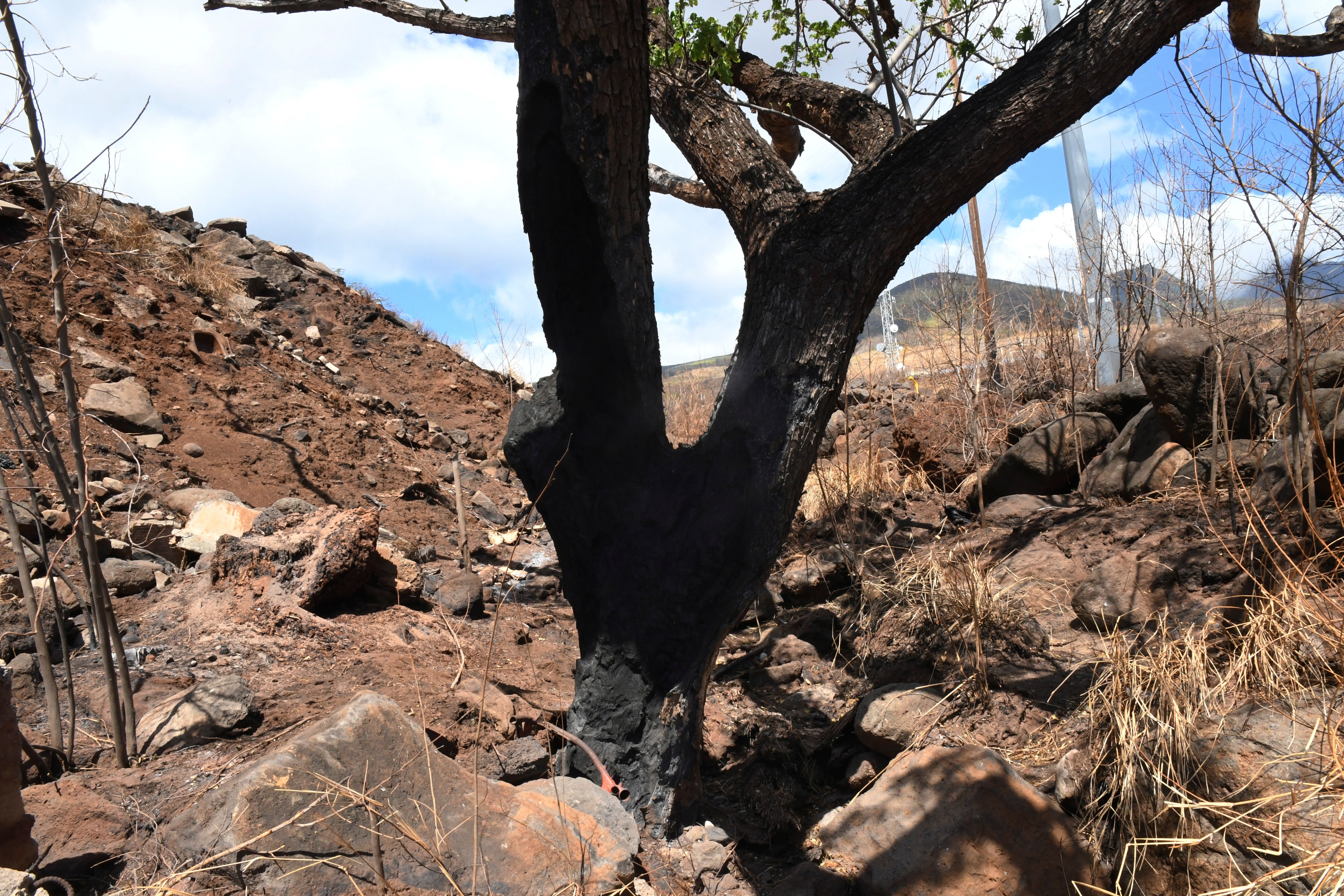 Hawaii Wildfire Investigation