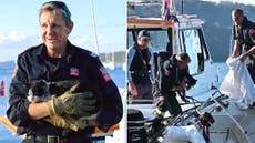 Moment cat stuck inside boat’s hull after fire is rescued by firefighters