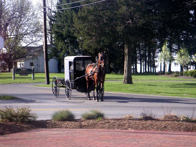 <p>A horse-drawn Amish buggy. An Amish child was killed in July 2024 when a pickup truck hit a buggy carrying a family of seven in Cumberland County, Virginia. The other family members were all injured in the accident and required treatment (stock image) </p>