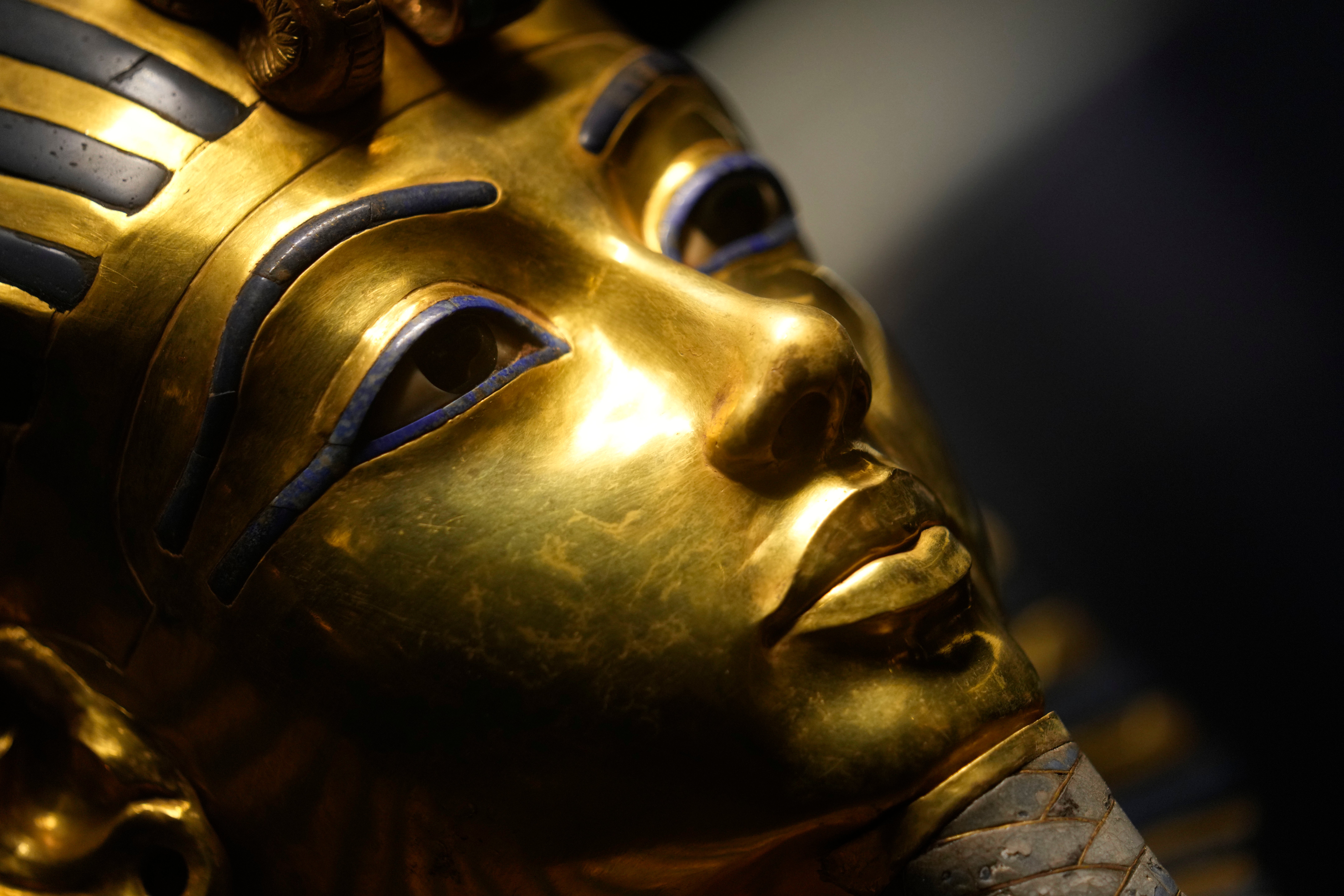 Researchers at the University of Pennsylvania believe that the isolated molecules of the mushroom of Aspergillus Flavus, thought they had killed archaeologists who searched the tomb of King Tut, could disturb the growth of leukemia cells equally with existing cancer drugs