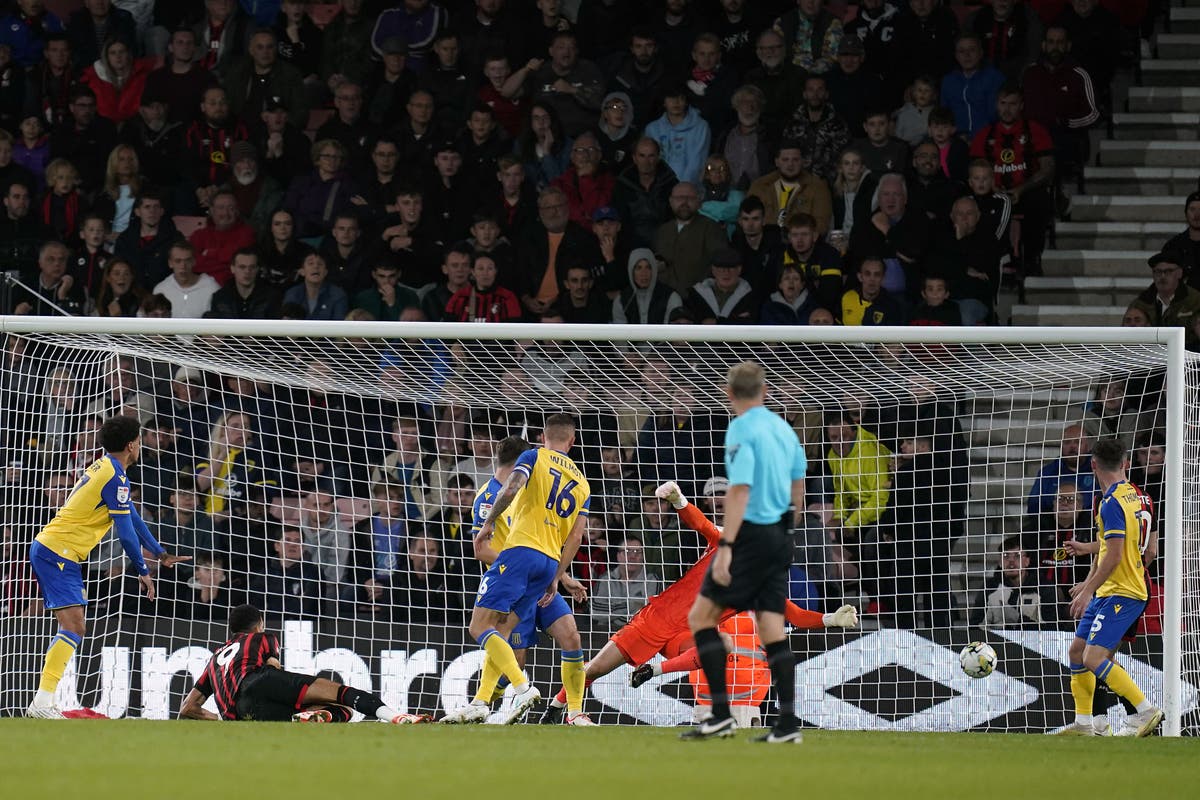 Dominic Solanke helps fire Bournemouth into next round after beating Stoke