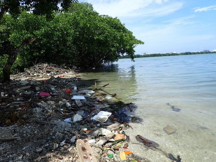 <p>Accumulation of plastic waste on the shore of the La Virgen marsh in Cartagena, Colombia</p>