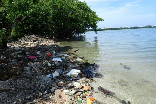 <p>Accumulation of plastic waste on the shore of the La Virgen marsh in Cartagena, Colombia</p>