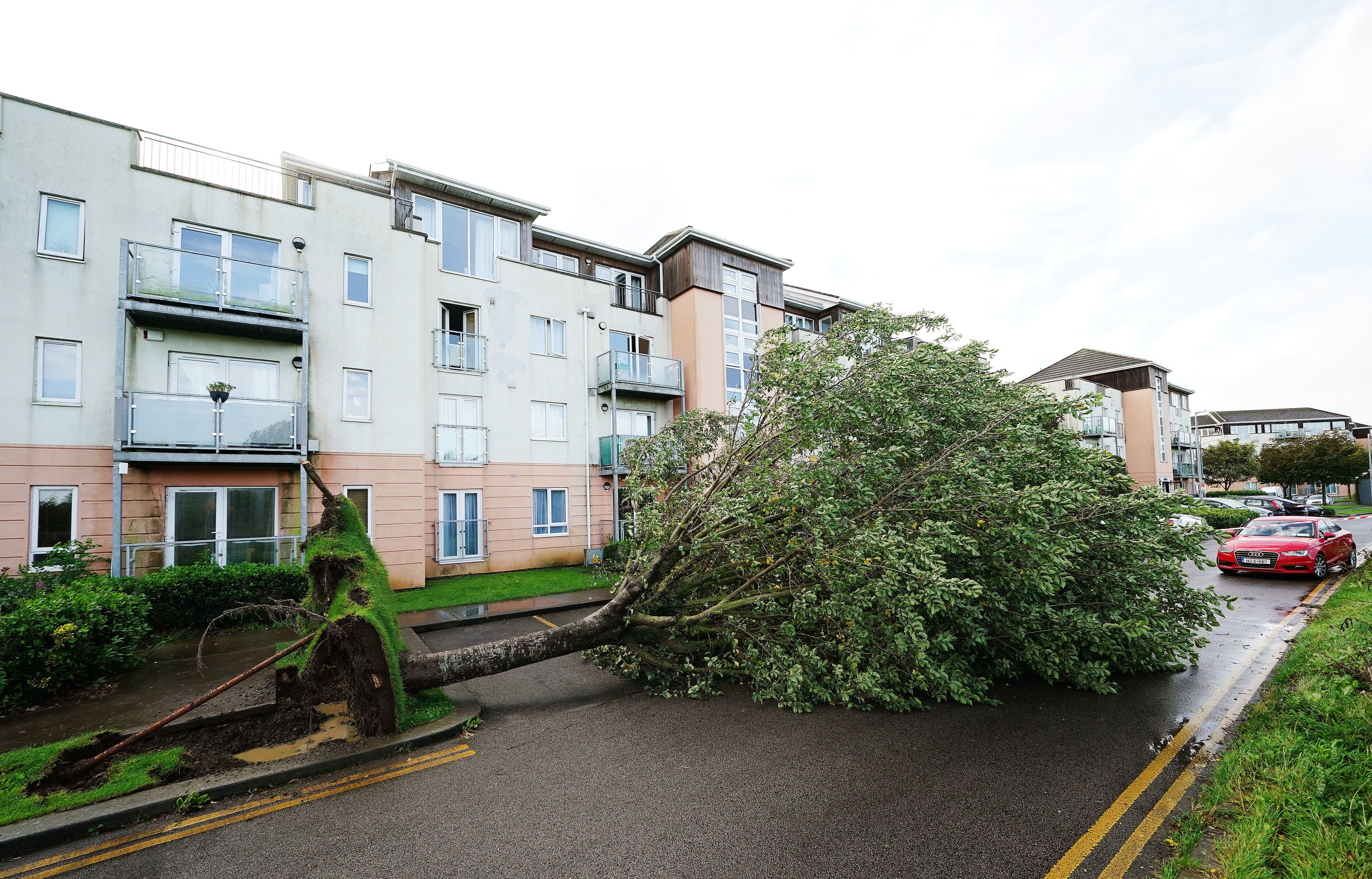 A fallen tree on Thornleigh Road in Swords, Dublin.