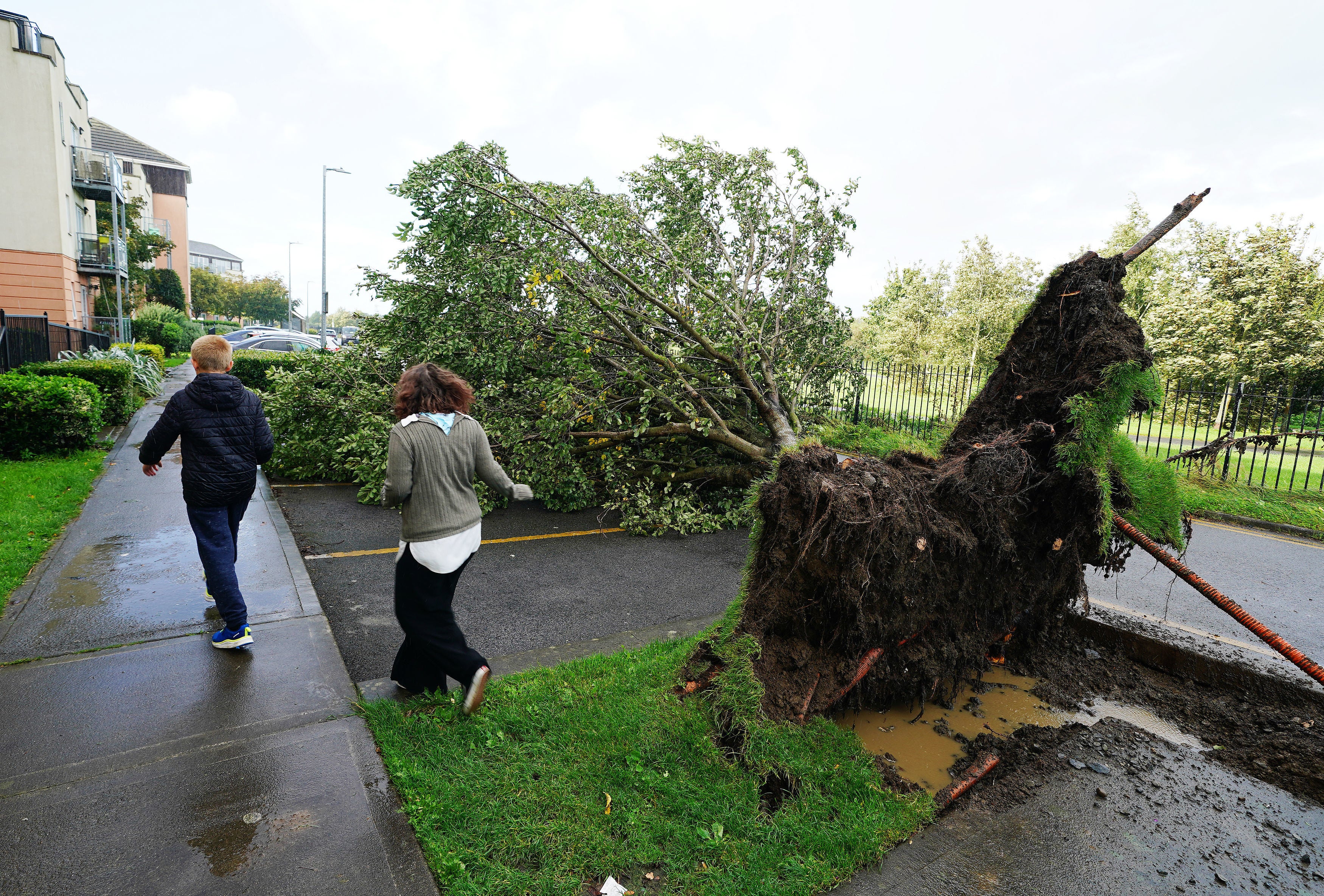 Wind gusts reached speeds of 54mph in the area