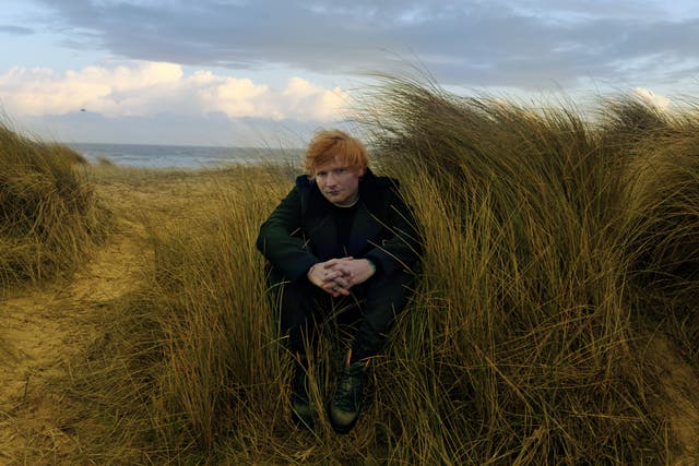 <p>Ed Sheeran in artwork for his new album, ‘Autumn Variations’, by Annie Leibovitz</p>