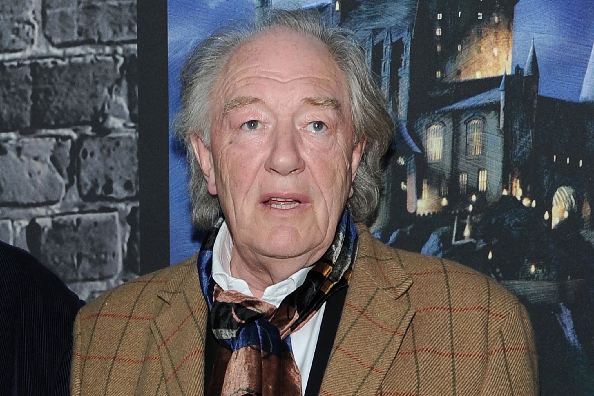 Harry Potter star Michael Gambon's wife inherits £1.5 million fortune - Vimarsana News