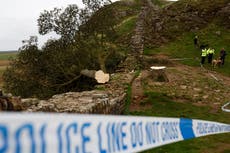 Boy, 16, arrested amid anger after world-famous Sycamore Gap tree chopped down